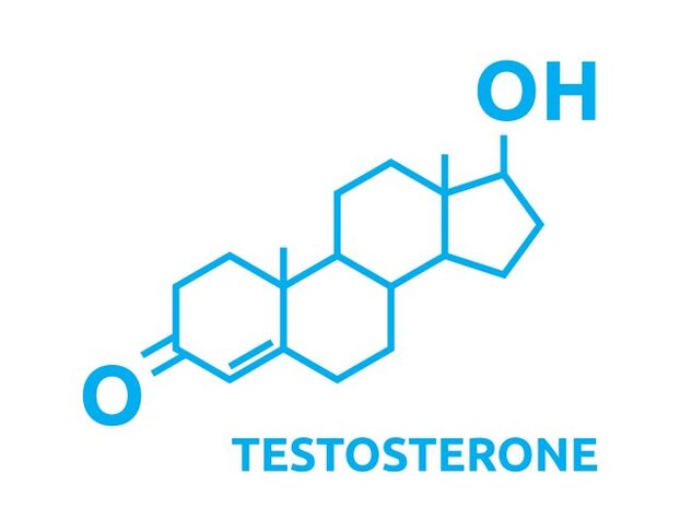 Augmentation de la testostérone après utilisation zxcvbnmqwalt